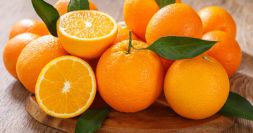 Plot 1: Lemon